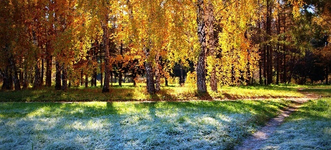 погода на покрова приметы