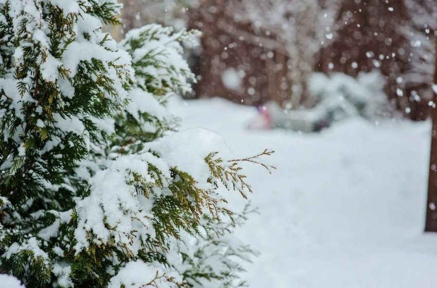 Погода в феврале