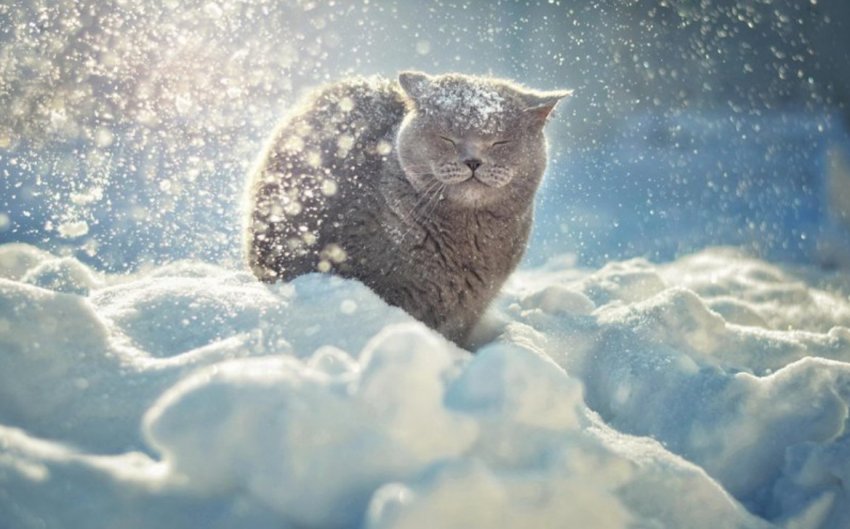 Приметы февраля