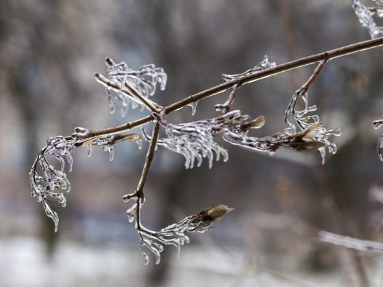 Соблюдайте традиции