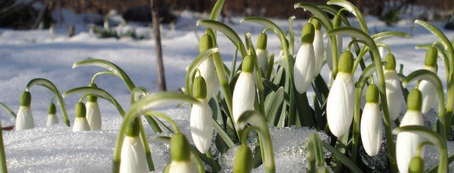 Приметы на основе