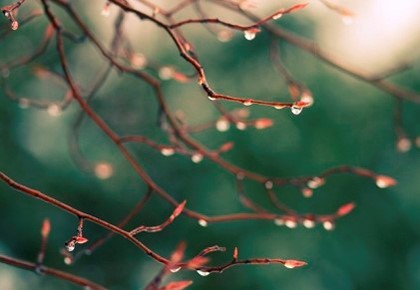 Приметы неживой природы о погоде на основе наблюдений за явлениями