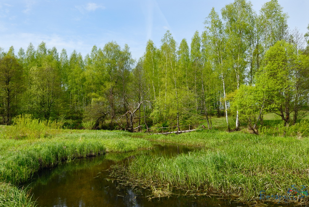 Русские приметы