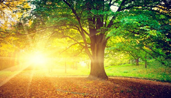 Погода в сентябре