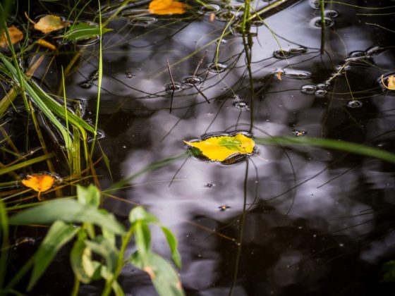 Погода в определённый день может о многом рассказать