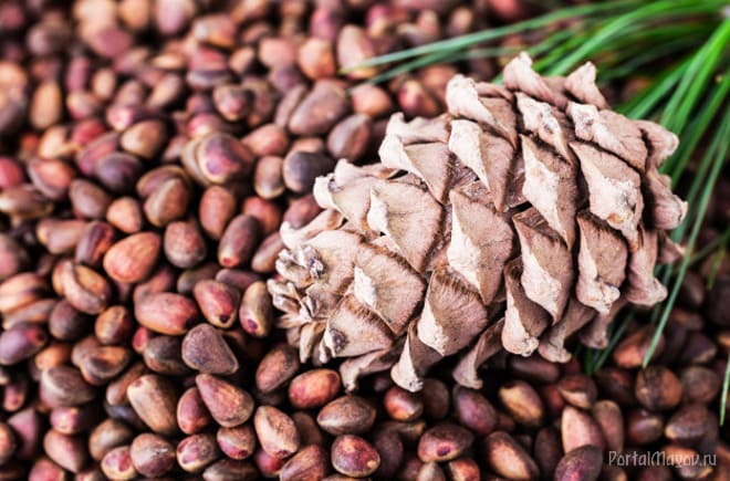 Кедровые орешки