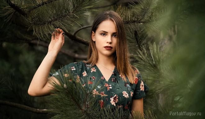 Стоя у сосны