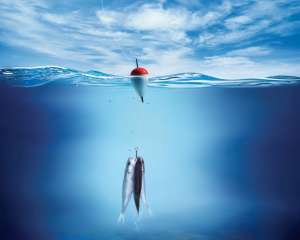 Прогноз клева рыбы и комфортности погоды в регионах Украины