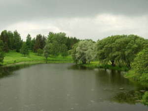 Прогнозы клева щуки 2021