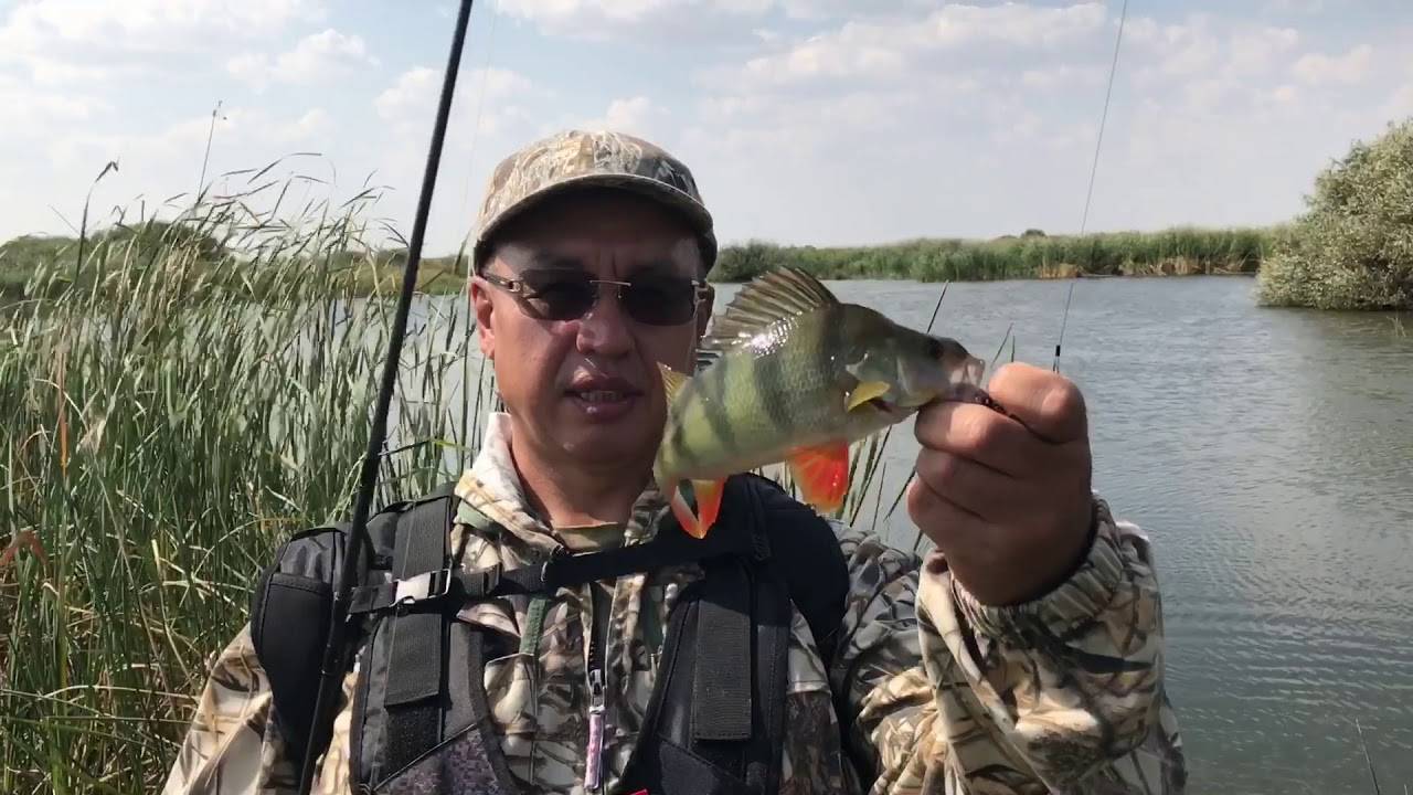 Рыбалка в Ишиме и Ишимском районе