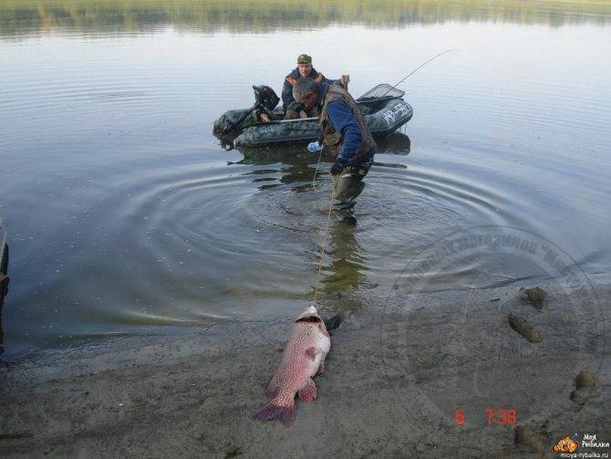 Ловля рыбы в иртыше