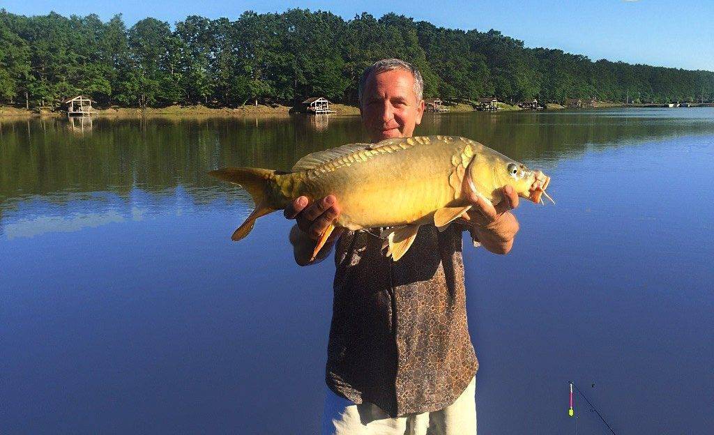 Рыбалка на пахре