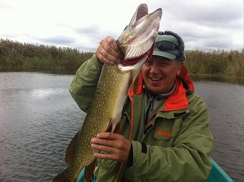 Отдых в камызякском районе 2020, где отдохнуть в камызякском районе