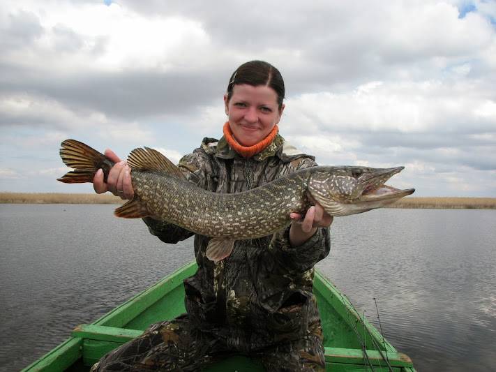 Рыболовно-охотничья база &laquo;застава&raquo; камызякский район, в астраханской области - цены 2020, фото, отзывы