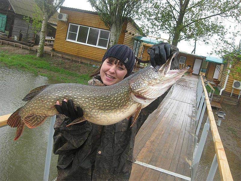 База отдыха остров колочный в астрахани | fishhunting