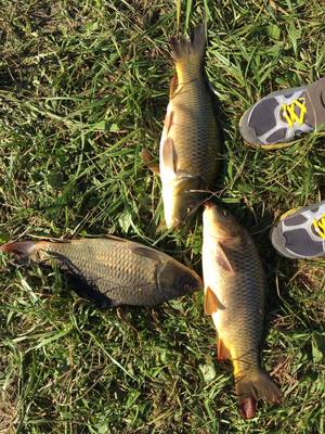 Как выбрать снасти для рыбалки