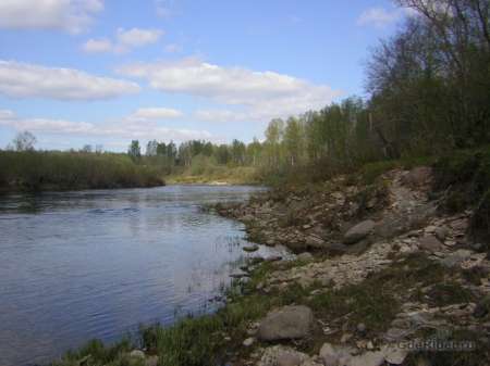 Место нашей рыбалки.
