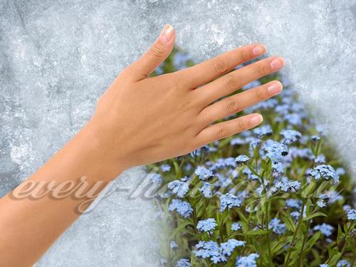 Сретение Господне, что это за праздник: история и приметы