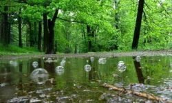 Значение народных примет к дождю