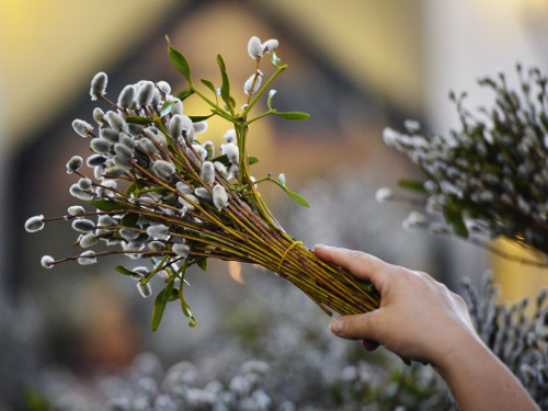 Вербное воскресенье – 5 апреля 2015 года