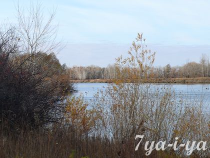 poq klevP1160950_result