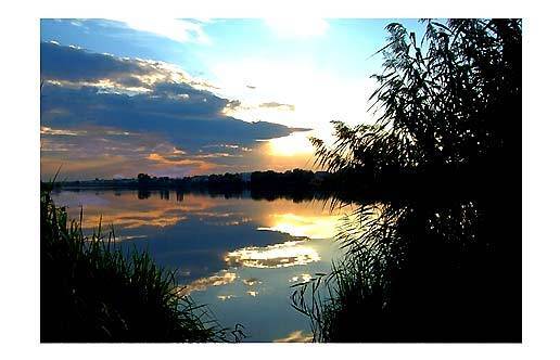 При изменении погоды клев рыбы ухудшается фотография