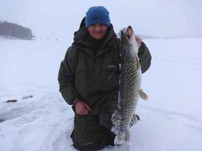 Метель на водоеме - начался выход щуки