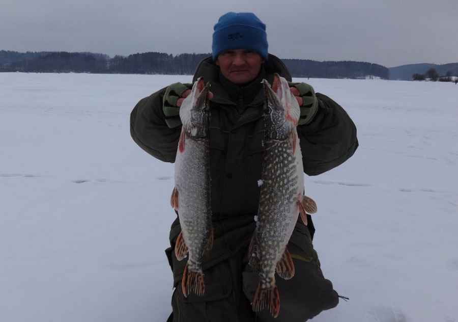 Зависимость клёва щуки зимой от погодных условий