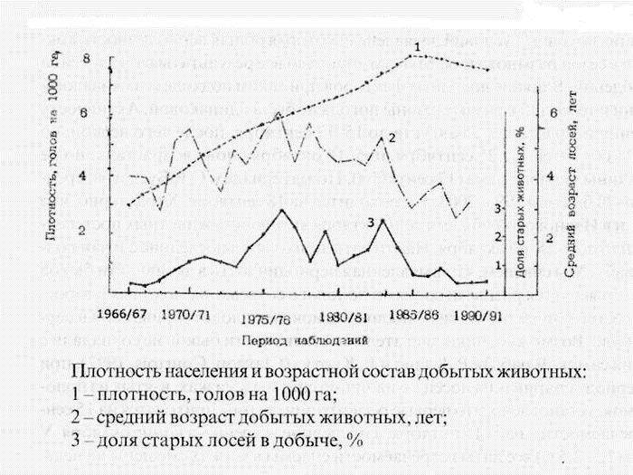 Гон лосей охота на вабу