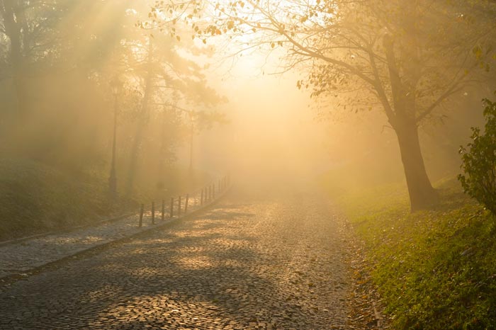 утренний туман