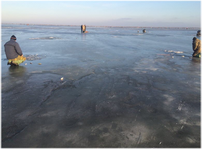 рыбаки на Ейском лимане