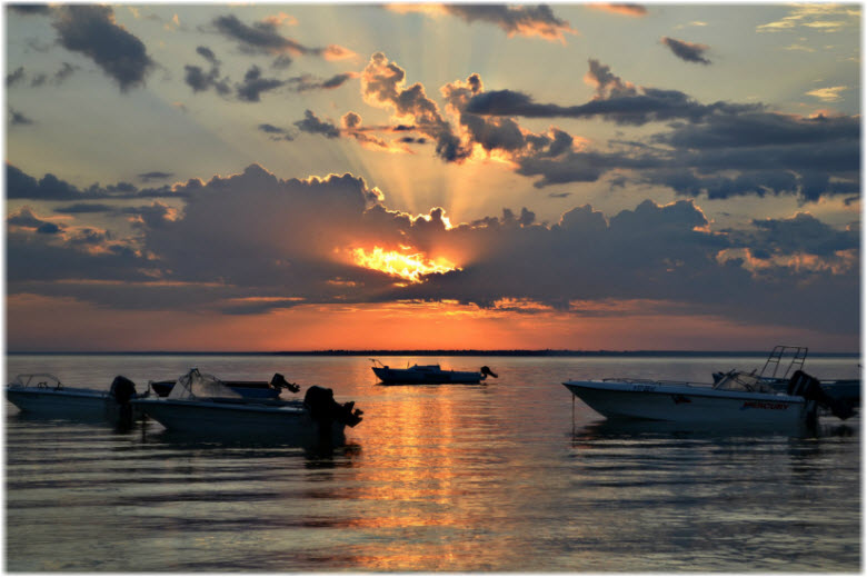 Ейский лиман