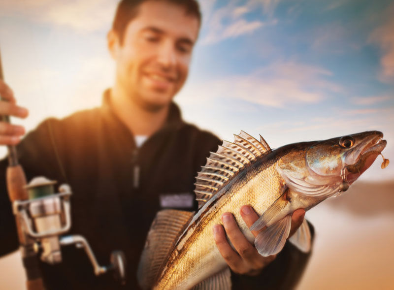 Где порыбачить в Днепре
