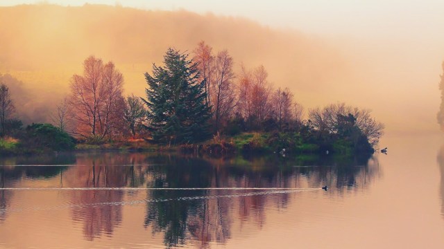 График клева рыбы: на что ловить рыбу и какую, как клюет рыба и где