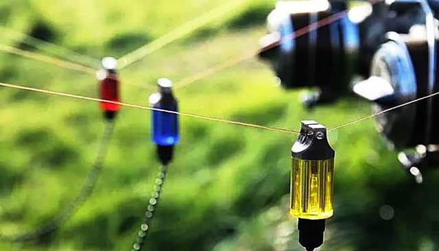 График клева рыбы: на что ловить рыбу и какую, как клюет рыба и где