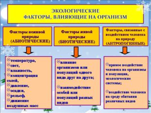 влияние организмов или популяций одного вида друг на друга; взаимодействие ос