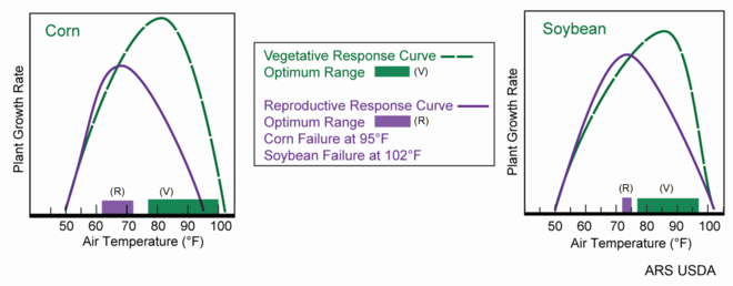 см. подпись и описание изображения
