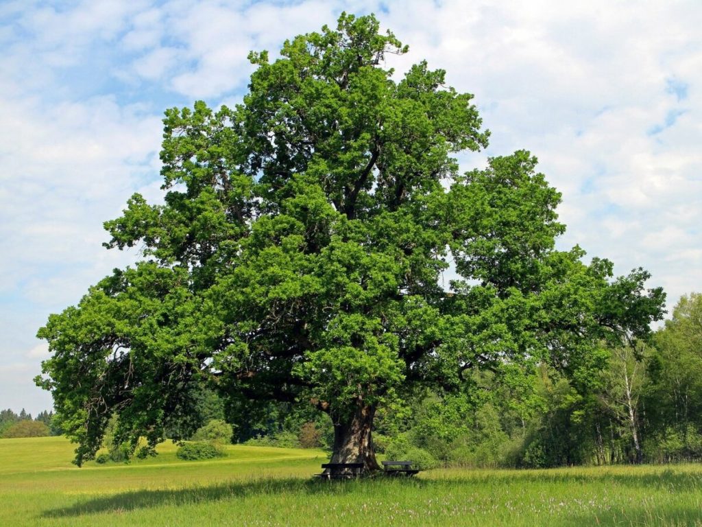 Приметы о погоде 