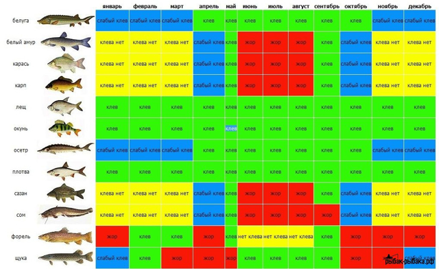 Какое давление для рыбалки лучше зимой: лучшая погода, направление ветра