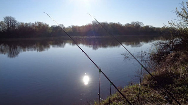 Какое давление для рыбалки лучше зимой: лучшая погода, направление ветра