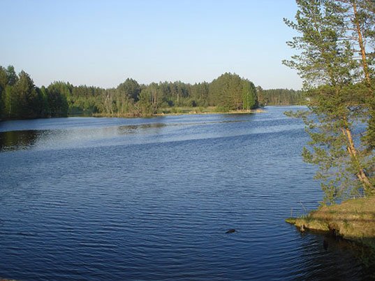 Воздействие температуры воздуха на рыбу
