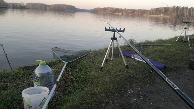 Воздействие погоды на клев рыбы