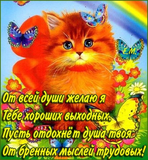 Картинки, гифки "Хороших выходных и отличного настроения", 100 шт.