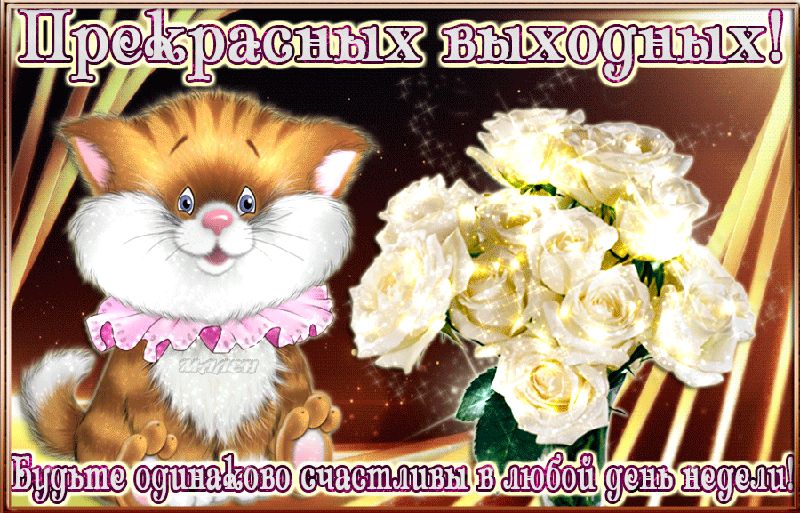 Картинки, гифки "Хороших выходных и отличного настроения", 100 шт.