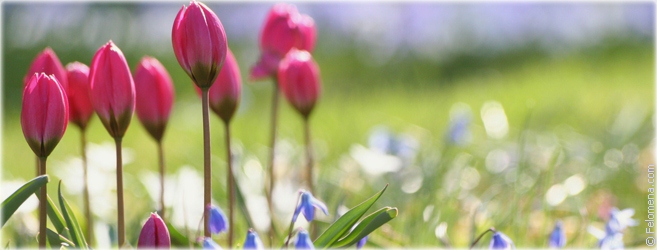 народные приметы весны для 2 класса