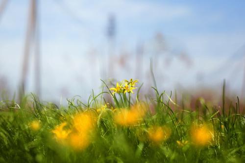 народные приметы весны для 2 класса