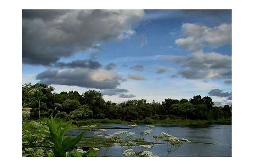 При изменении погоды лещ перестает ловиться фотография