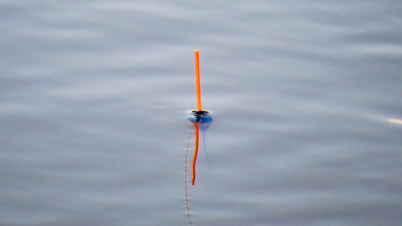 Прогноз клева