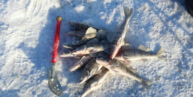 Красный Бор, Татарстан: местоположение, история. Рыбалка в Красном Бору Татарстана - ZdavNews