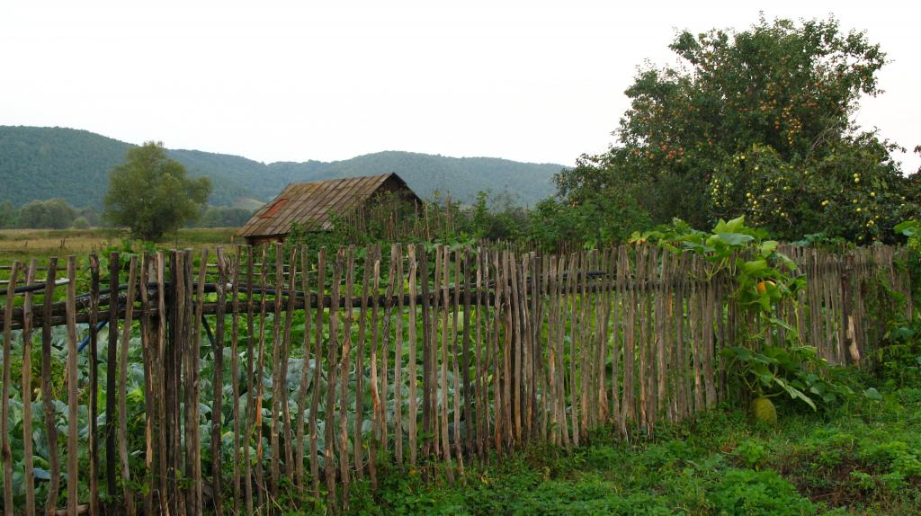 Село Красный Бор